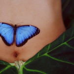 butterfly-pictures-Design