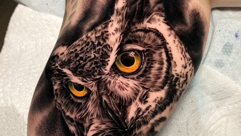 Owl Tattoos