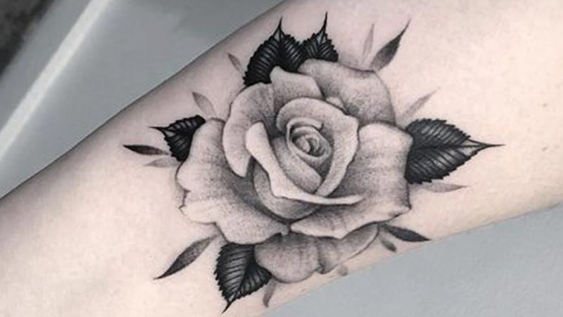 Rose Tattoos