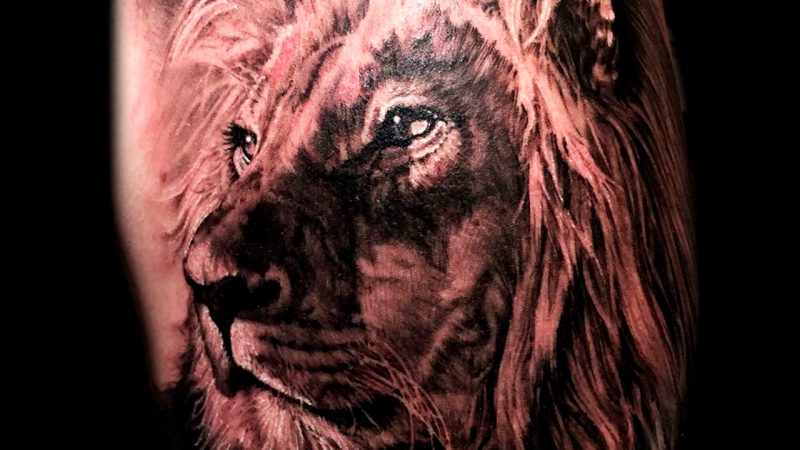 Lion Tattoos For Men