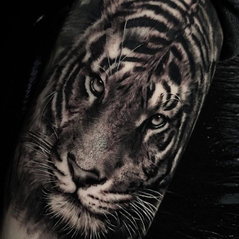 Realistic Tiger Tattoo